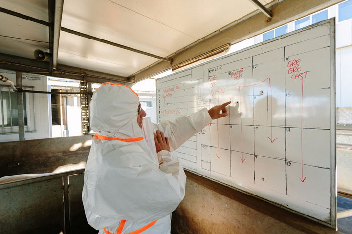 Man in biosecurity clothes pointing at whiteboard