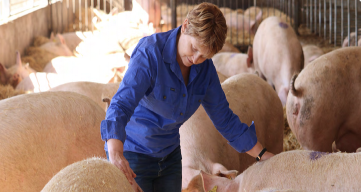 women in pork identify priorities for action